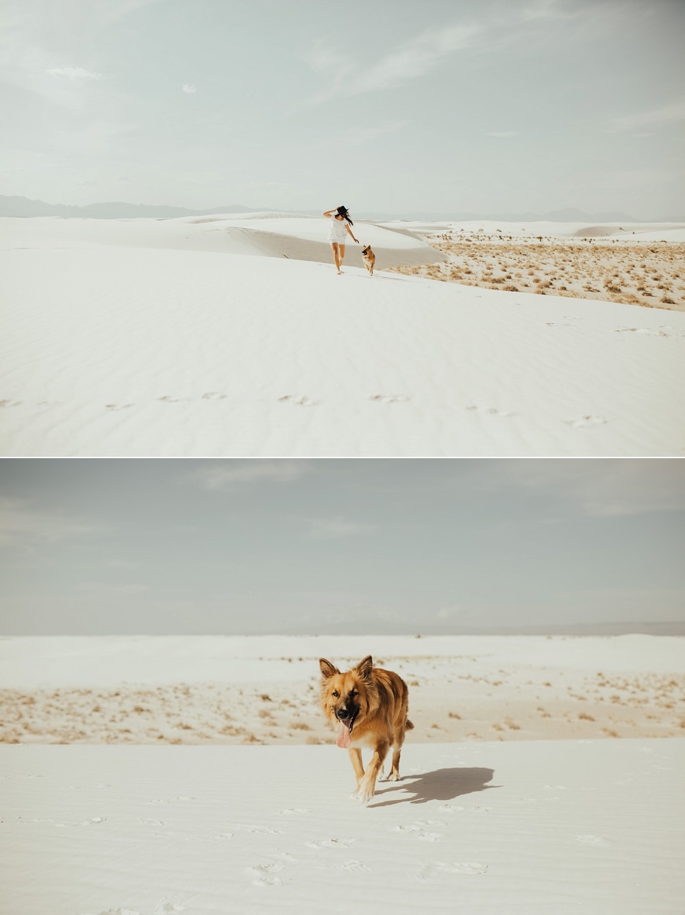 girl running around with dog