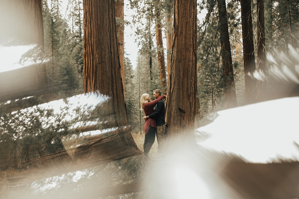sequoia national park engagement session