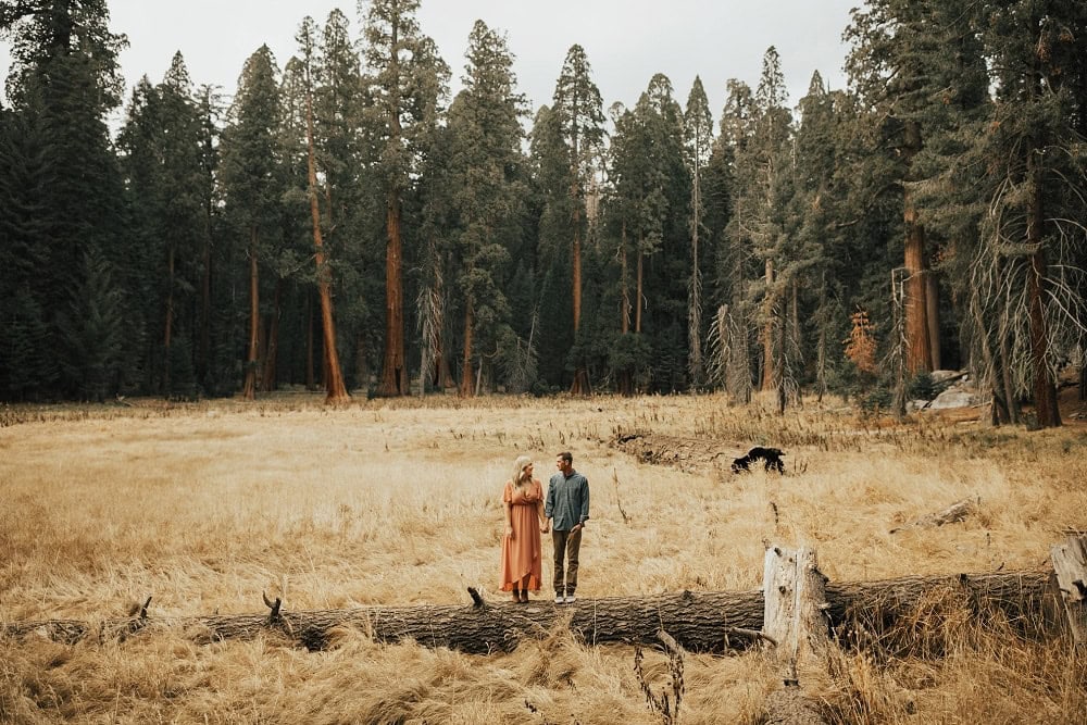 sequoia national park engagement session