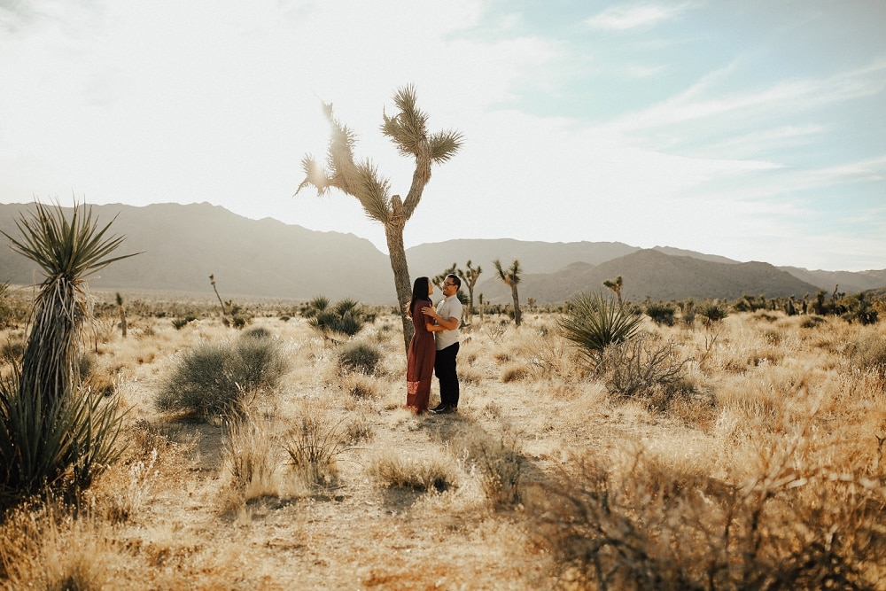 Joshua Tree Winter Couples Session
