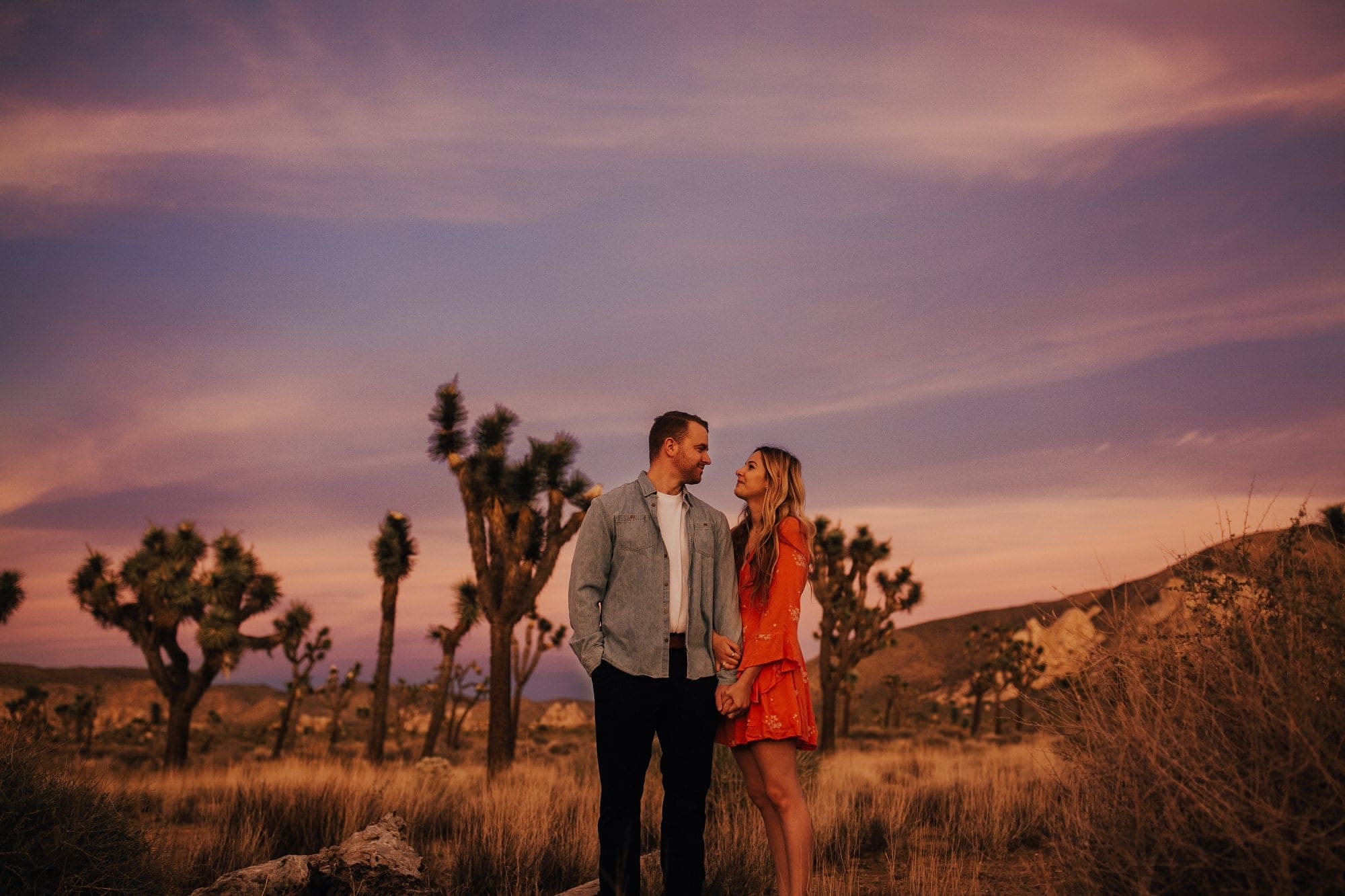 joshua tree engagement session with purple skies