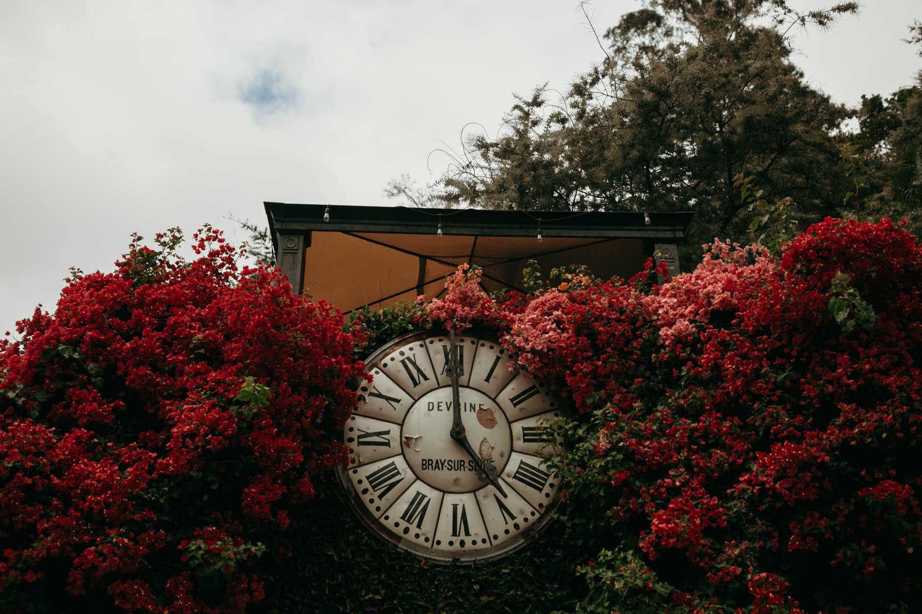 houdini estate clock