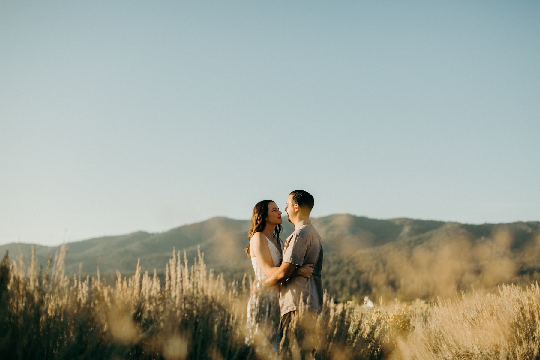 big bear engagement session in a meadow