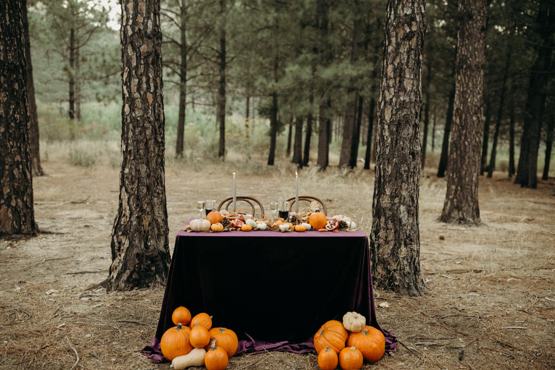 fall elopement table details