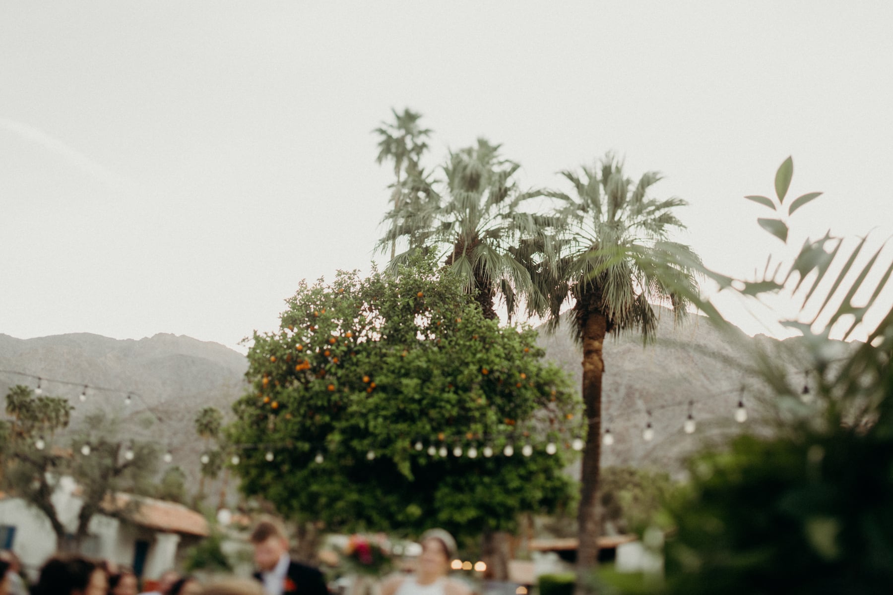 palm springs desert wedding